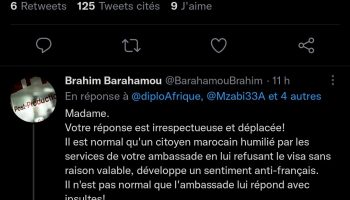 maroc lambassadrice pour la diplomatie francaise en afrique derape sur twitter